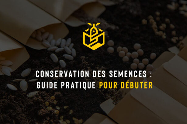 Conservation des semences : guide pratique pour débuter