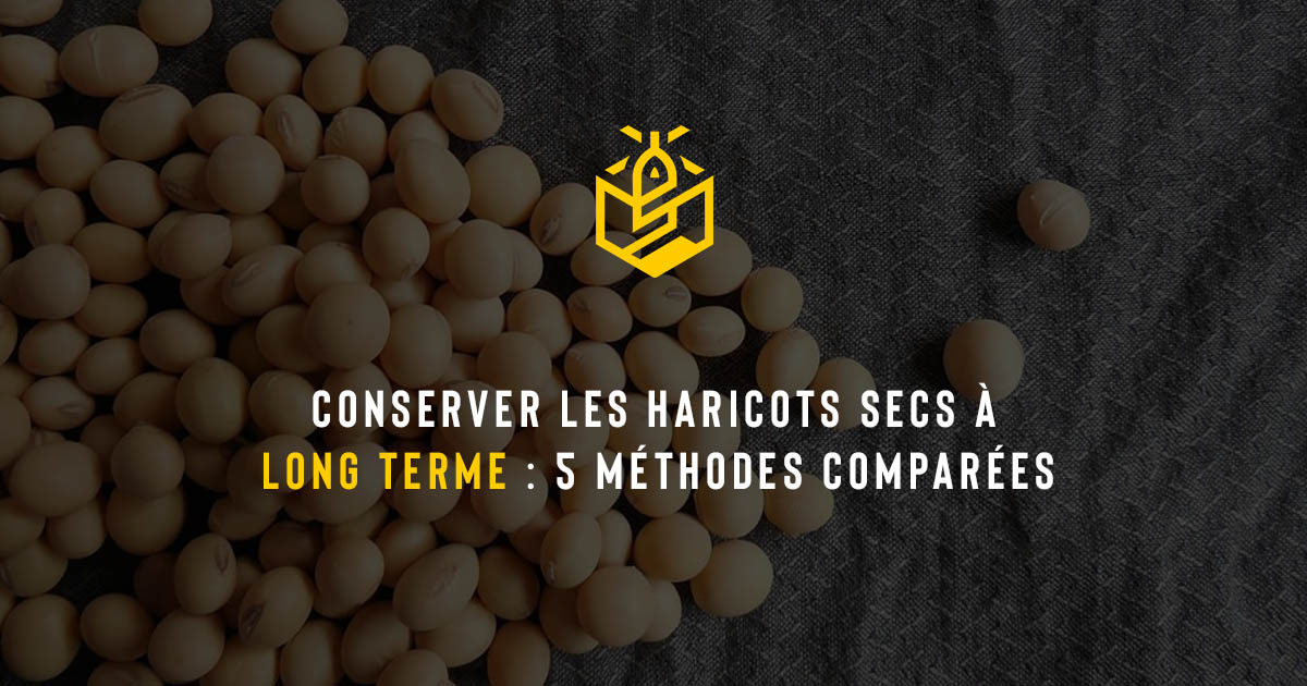 Conserver les haricots secs à long terme : 5 méthodes comparées