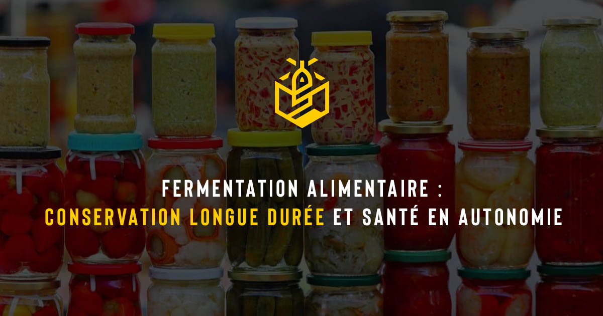 Fermentation alimentaire : conservation longue durée et santé en autonomie