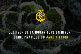 Cultiver de la nourriture en hiver : guide pratique du jardin froid