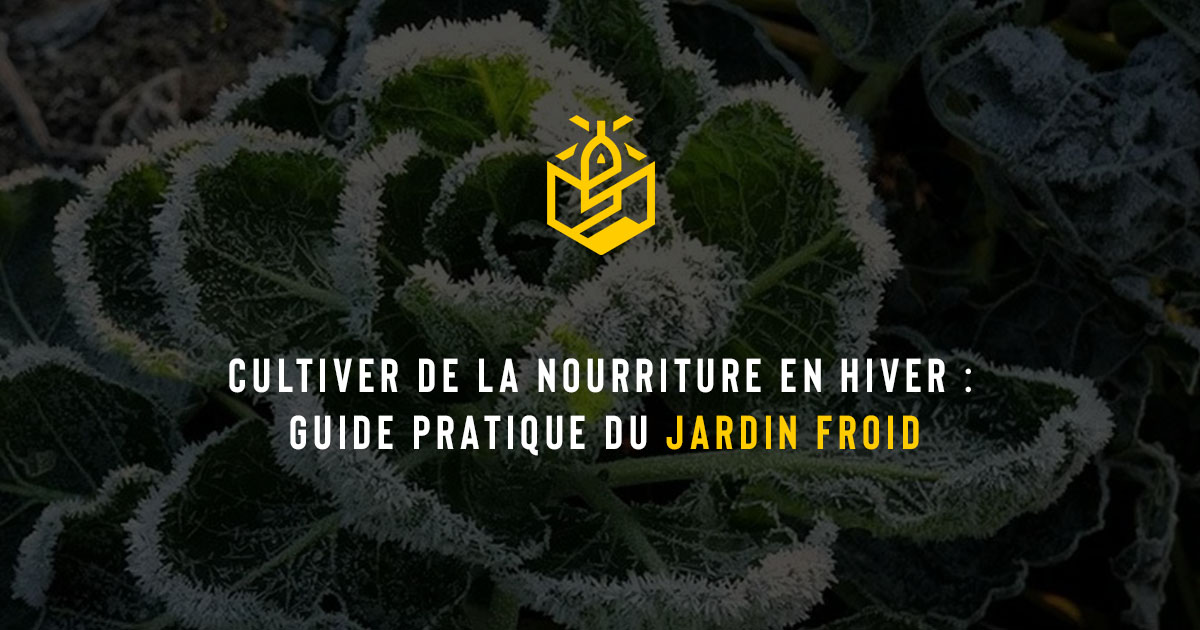 Cultiver de la nourriture en hiver : guide pratique du jardin froid