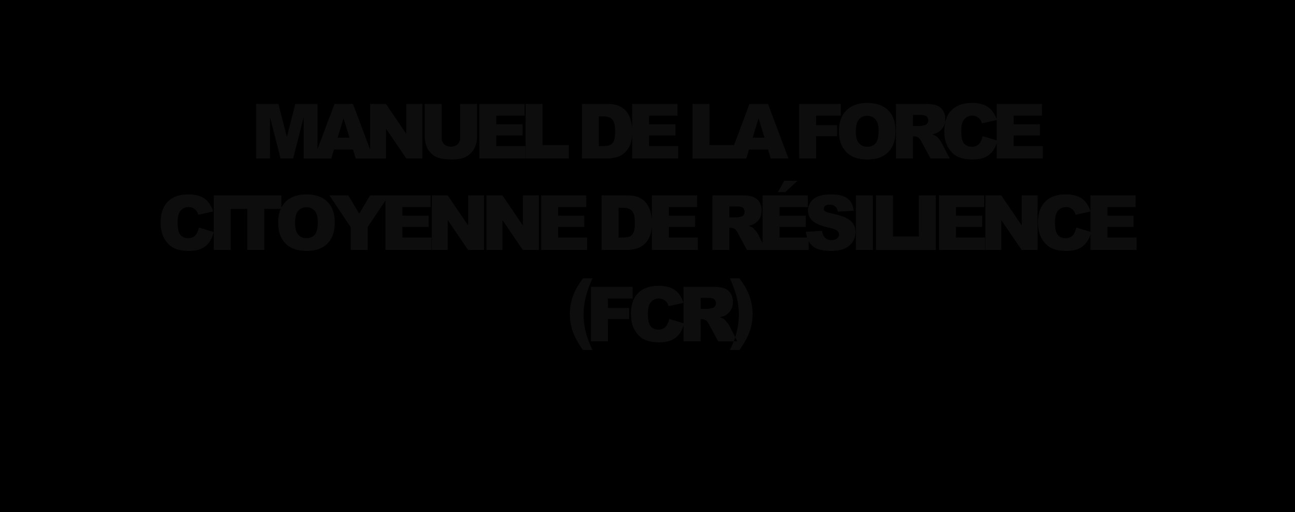 Une milice citoyenne en cas d'effondrement