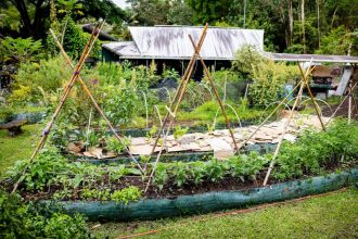 Fusionner survivalisme et permaculture : vers une autosuffisance durable
