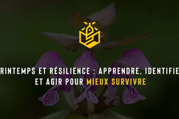 Printemps et résilience : apprendre, identifier et agir pour mieux survivre