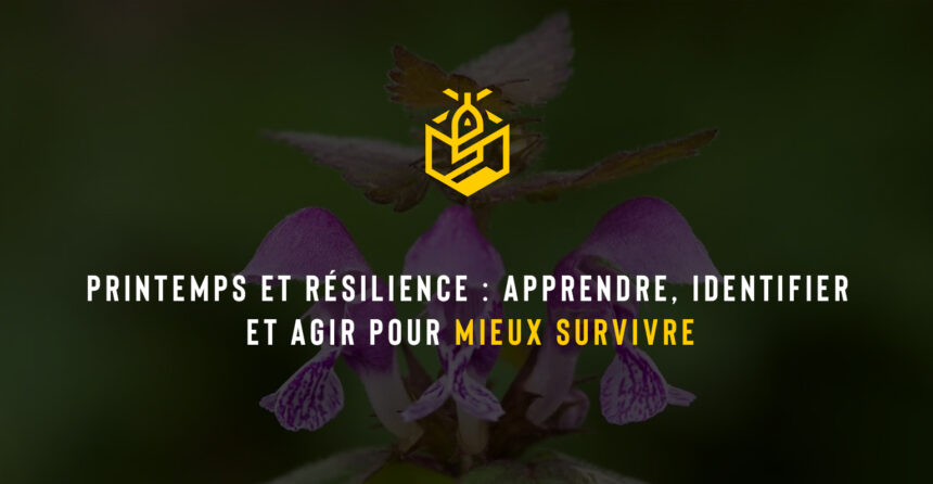 Printemps et résilience : apprendre, identifier et agir pour mieux survivre