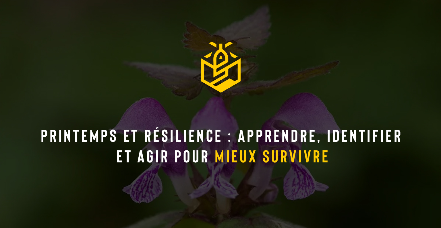 Printemps et résilience : apprendre, identifier et agir pour mieux survivre