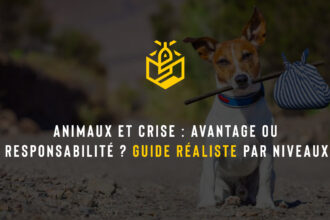 Animaux et crise : avantage ou responsabilité ? Guide réaliste par niveaux