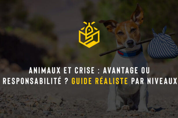 Animaux et crise : avantage ou responsabilité ? Guide réaliste par niveaux