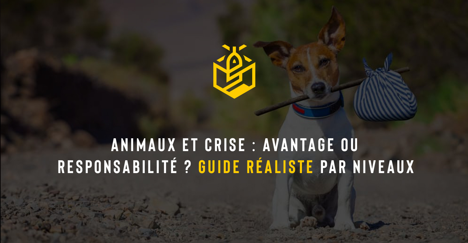 Animaux et crise : avantage ou responsabilité ? Guide réaliste par niveaux