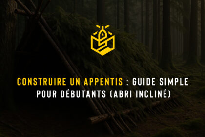 Construire un appentis guide simple pour débutants (abri incliné)