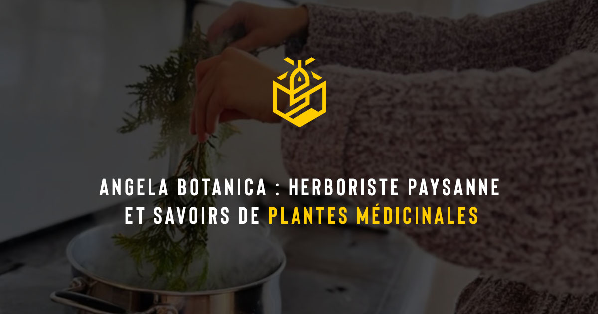 Angela Botanica : herboriste paysanne et savoirs de plantes médicinales