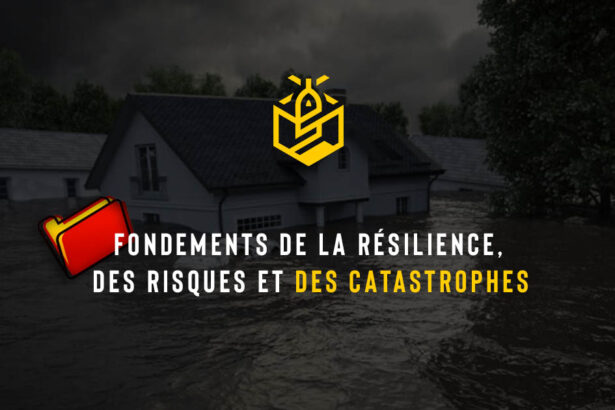 Fondements de la résilience, des risques et des catastrophes
