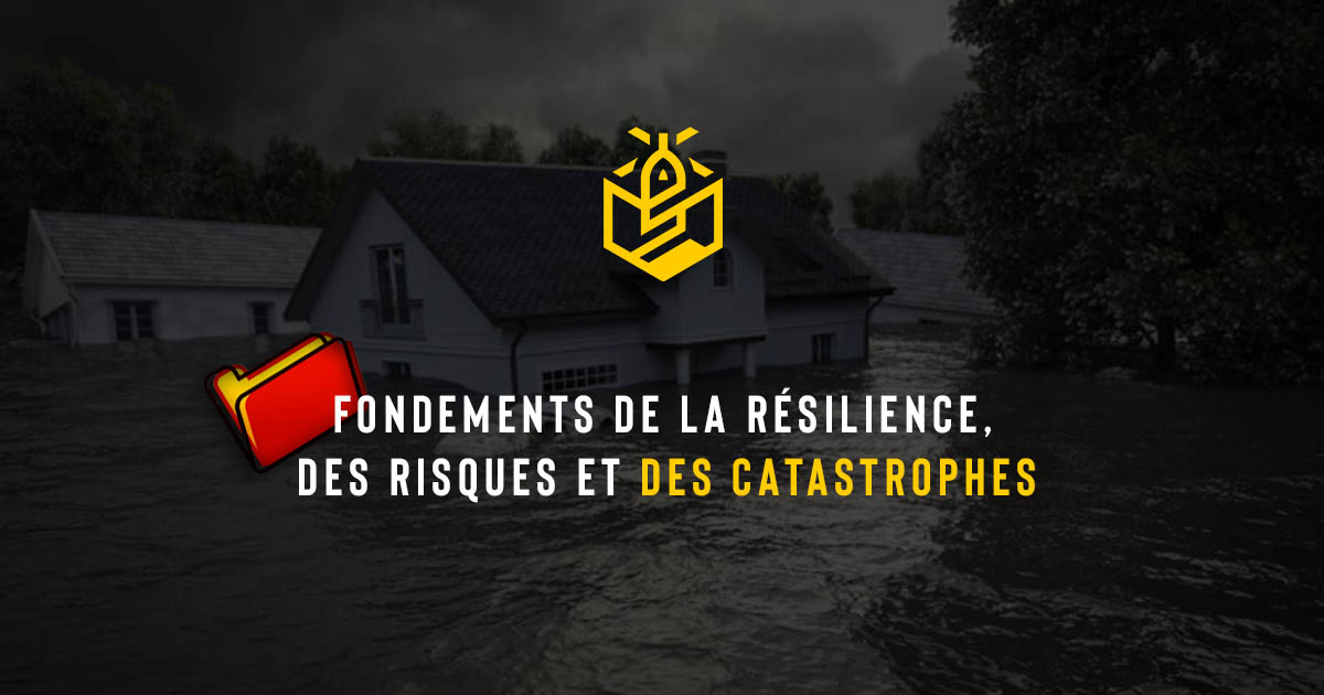 Fondements de la résilience, des risques et des catastrophes