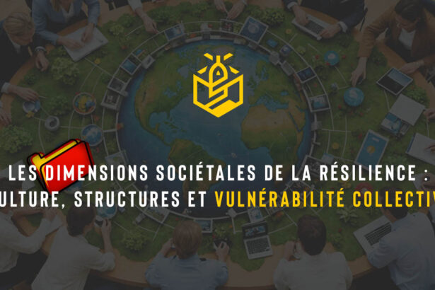 Les dimensions sociétales de la résilience : culture, structures et vulnérabilité collective