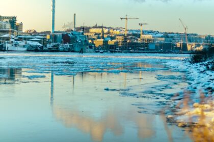 Contamination au mercure : comprendre les ris