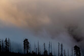 ** Les feux de forêt californiens : ce qu'il faut savoir pour se préparer au Québec