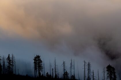 ** Les feux de forêt californiens : ce qu'il faut savoir pour se préparer au Québec